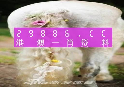 澳門一肖一碼100精準(zhǔn)2023,歸納解答解釋落實_創(chuàng)意版52.479