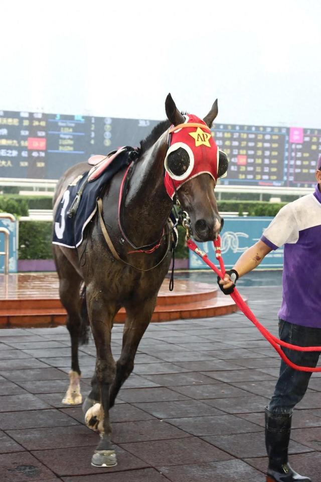 今晚澳門馬出什么特馬,投資決策會(huì)資料_殘奧會(huì)CBR57.32.42