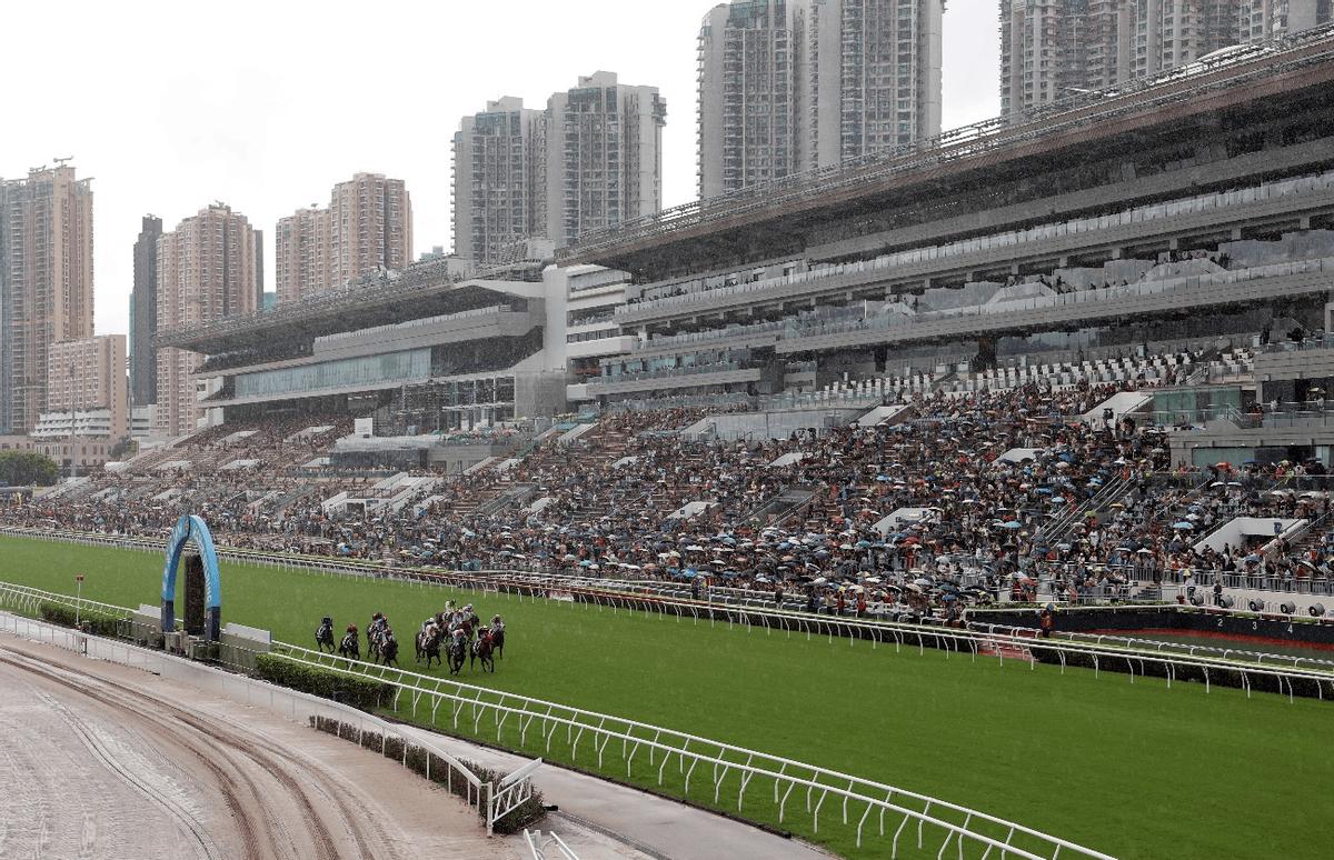 2024香港全年免費(fèi)資料公開,質(zhì)量解答解釋落實(shí)_三維款12.41