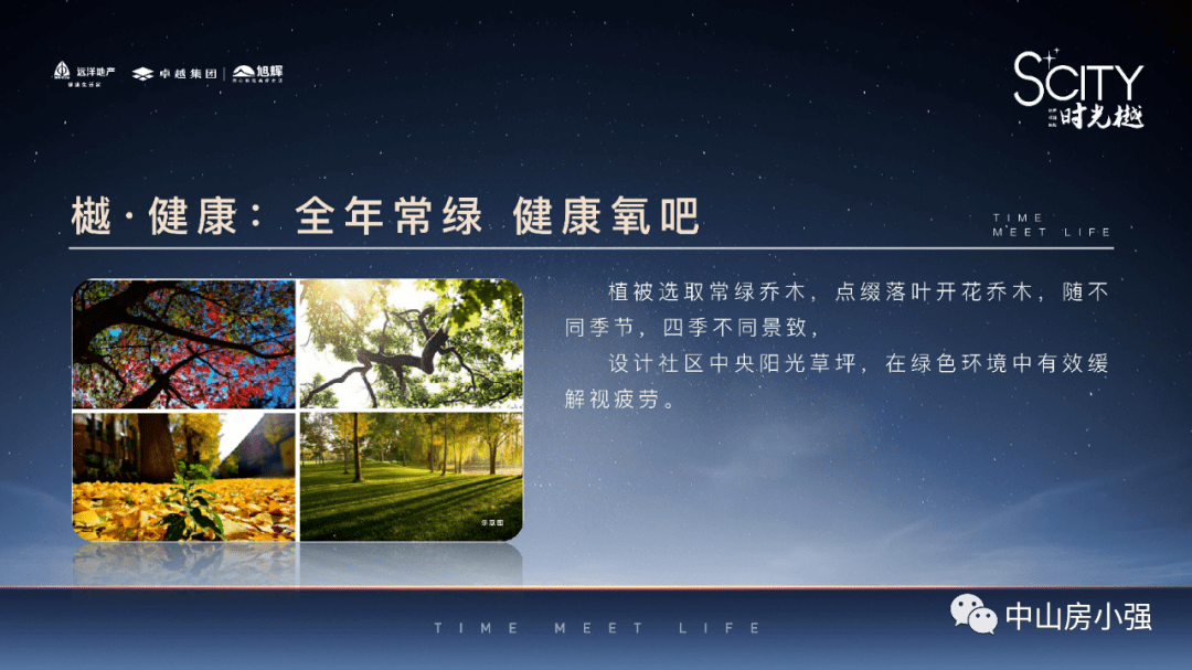 “澳新每日開獎(jiǎng)資料全集，第54期至129期深度解析，ZDQ2.29.31專屬版”