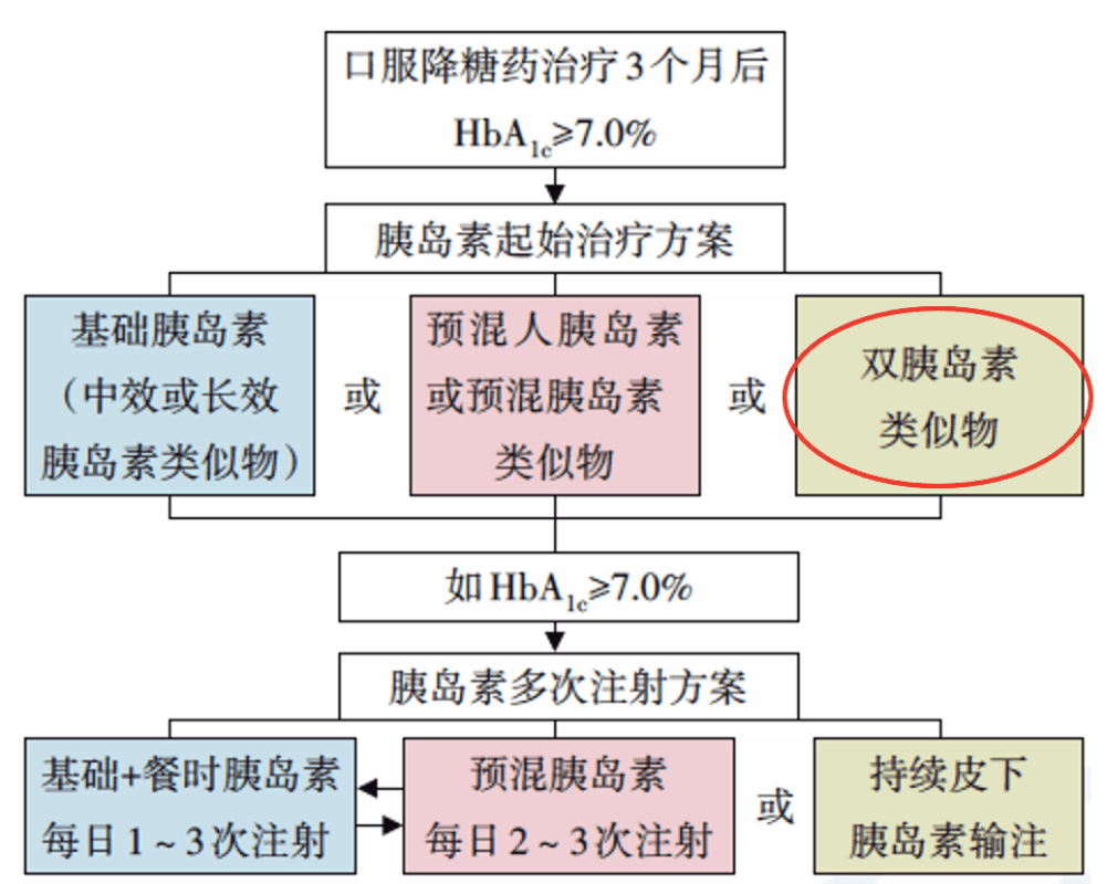 2024澳新正版資料詳解，權(quán)威解答及實(shí)施指南_XMH8.74.89極速版