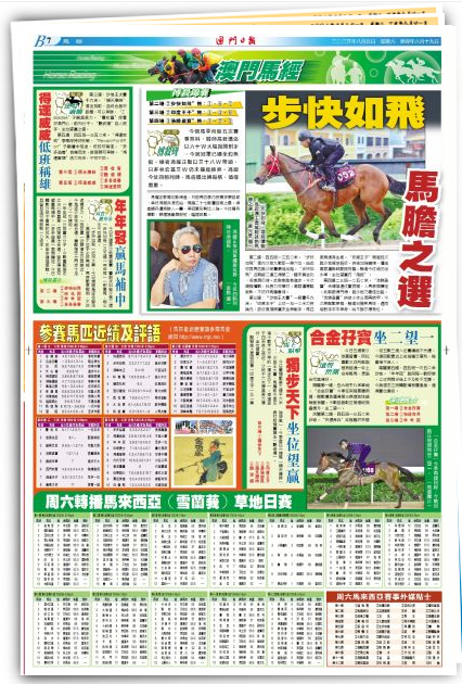 2024澳門資料寶典免費索取，實施策略及SHU6.73.55工具版版式