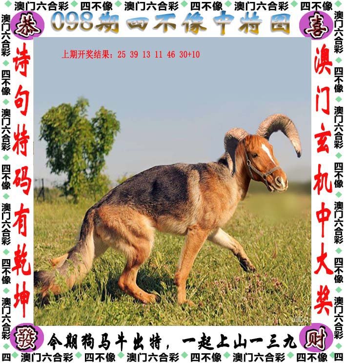 2024年今日四不像圖深度剖析：專業(yè)解讀及BFG7.38.31簡易版