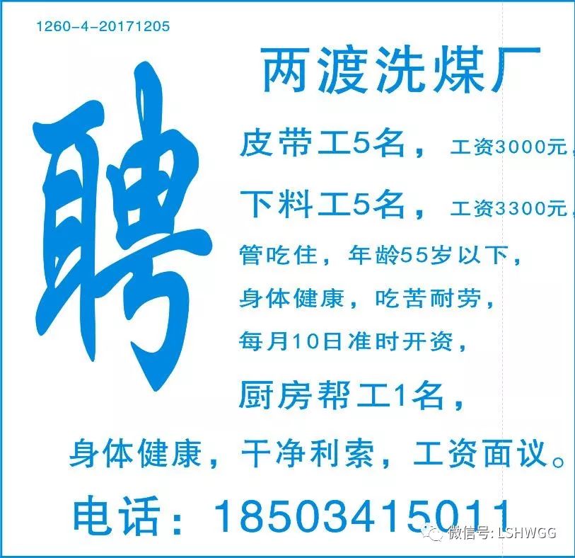 北侖大契最新招聘信息概覽，求職者的首選參考