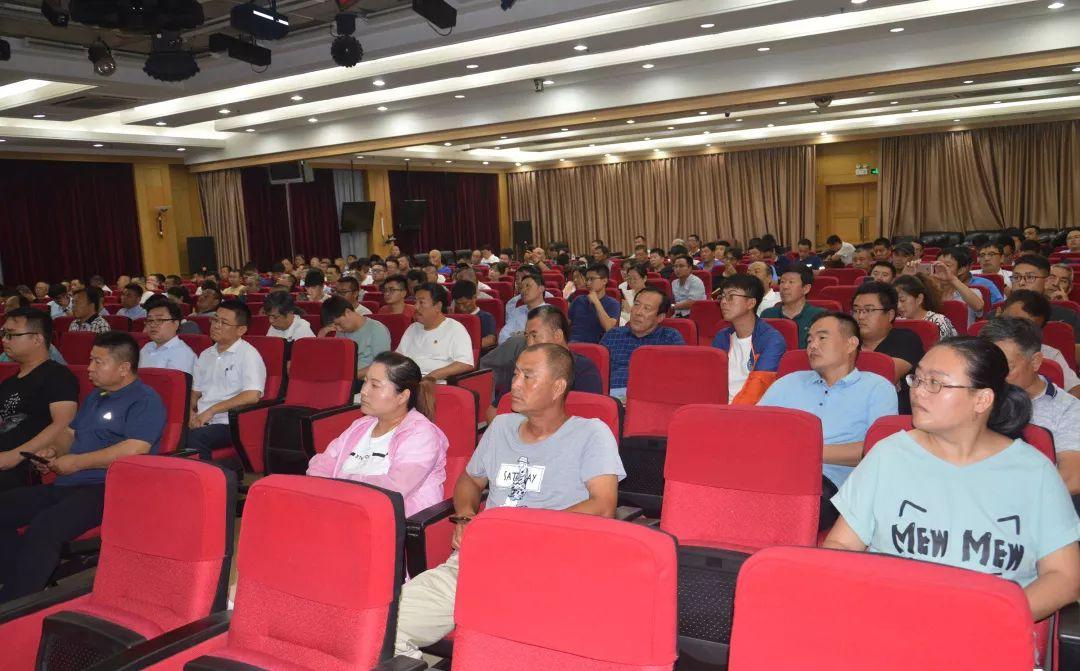 佳隆股份最新動態(tài)全面解析