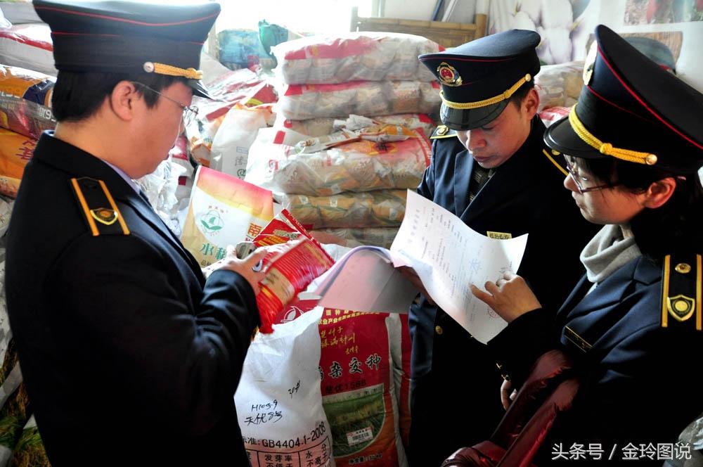 江西玉米價(jià)格最新行情及分析概述