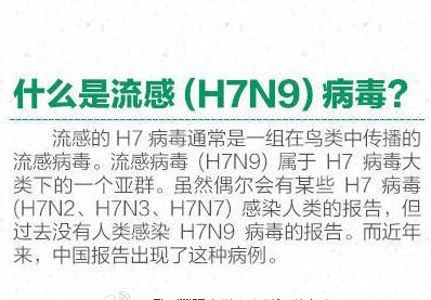2017年最新禽流感研究與應(yīng)對策略