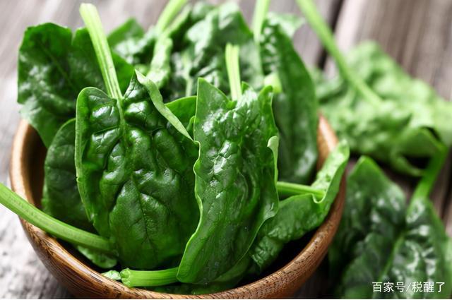山東菠菜最新價格行情及分析