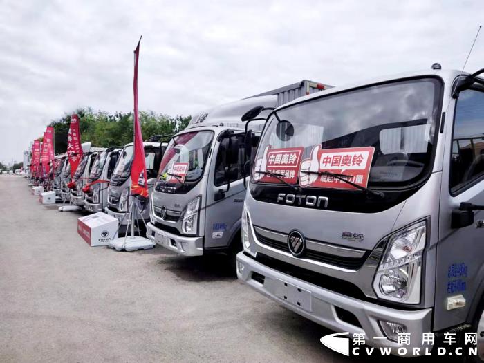 濰坊油價(jià)調(diào)整最新動(dòng)態(tài)，市場(chǎng)趨勢(shì)與影響深度解析