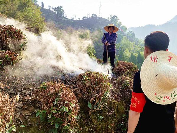 綠色守護最新版，引領綠色生活新潮流，守護環(huán)境的力量之選