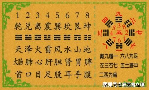 八卦象數(shù)療法最新配方及其應用前景探索