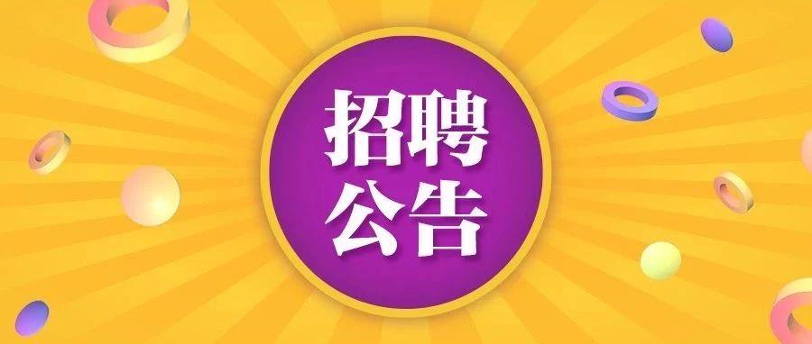 浙江工廠最新招聘信息全面概覽