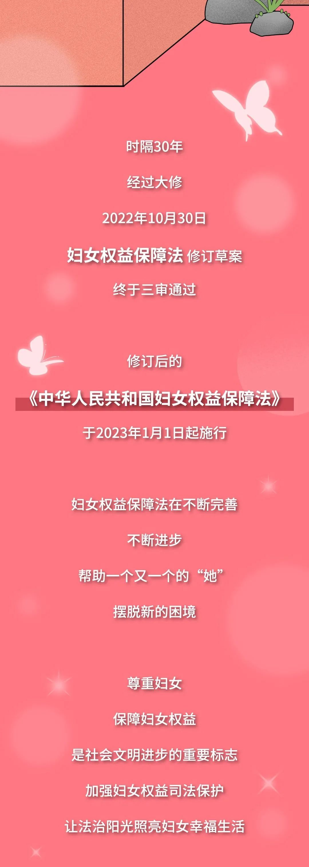 最新婦女權益保障法，構建性別平等的法律基石