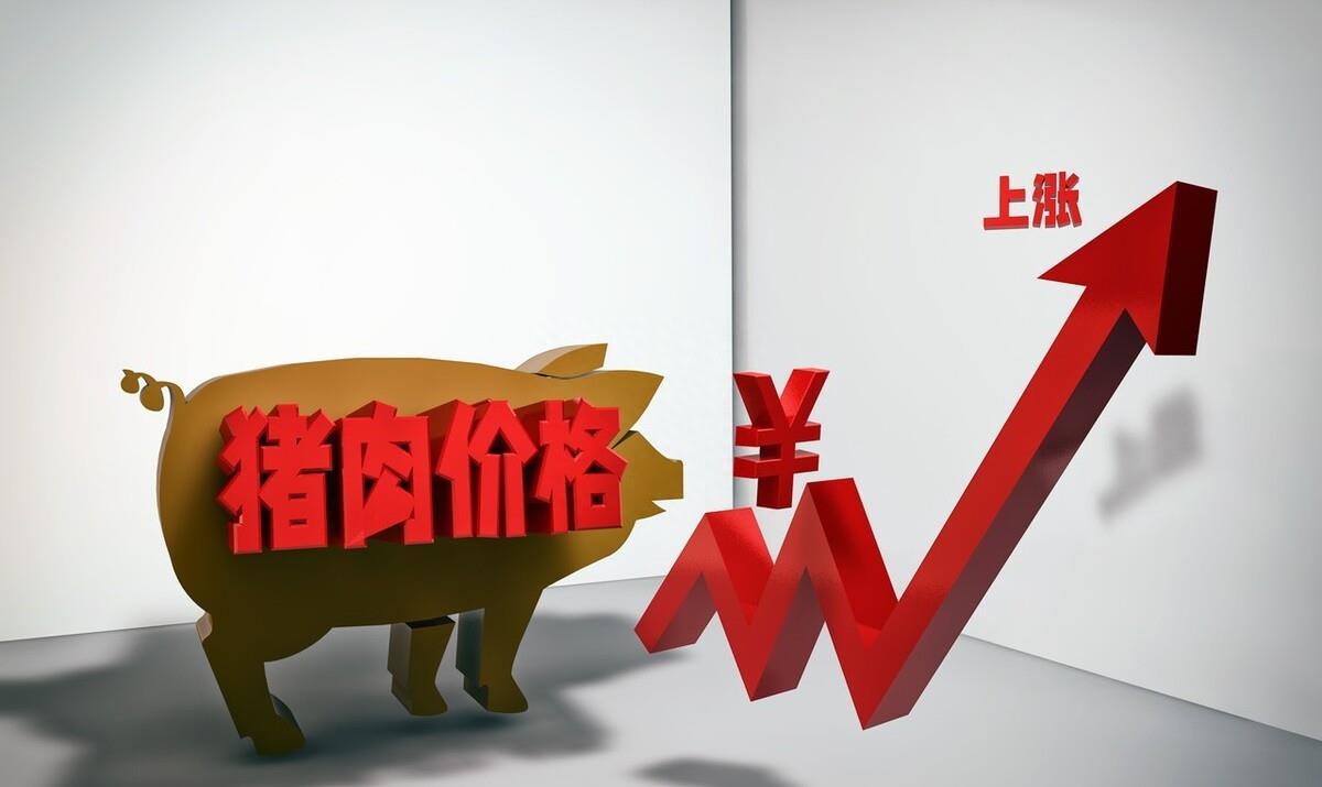 小飛最新動(dòng)態(tài)，探索未知，砥礪前行