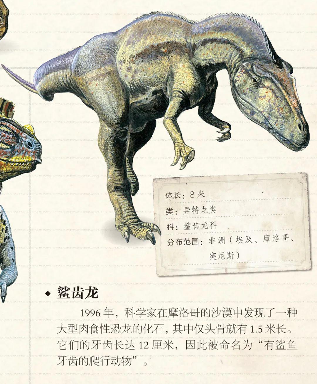 揭示恐龍時(shí)代新篇章，最新脊龍研究揭秘新發(fā)現(xiàn)