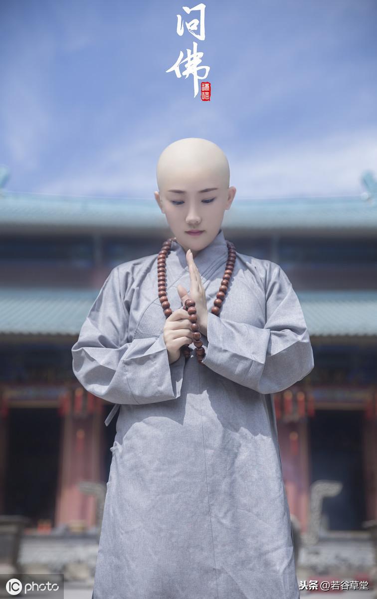 探索自然美景之旅，最新新聞與內(nèi)心平和之地的追尋